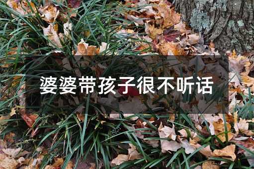 ���Ŏ����Ӻܲ� Ԓ