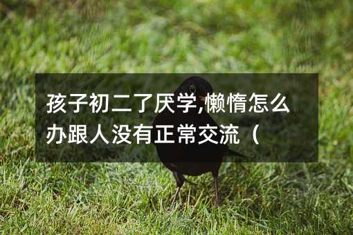 孩子初二了厭學,懶惰怎么辦跟人沒有正常交流(