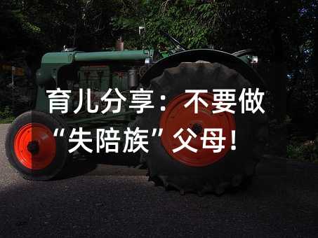 Ҫʧ塱ĸ