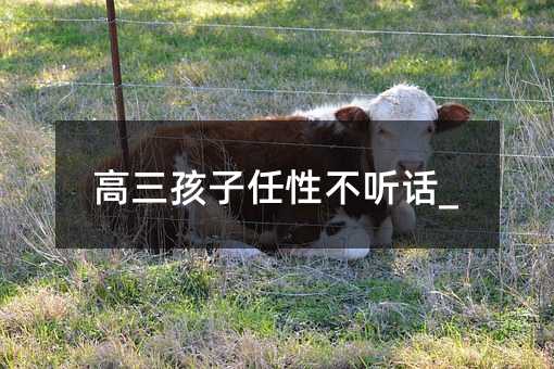 高三孩子任性不聽(tīng)話_