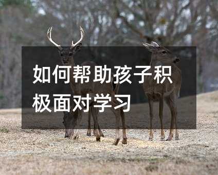 如何幫助孩子積極面對學習