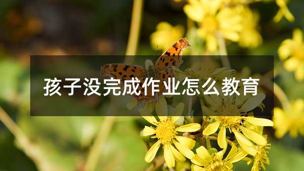 孩子沒(méi)完成作業(yè)怎么教育
