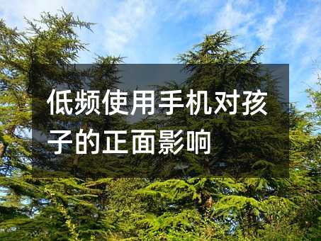 lʹ֙CӵӰ