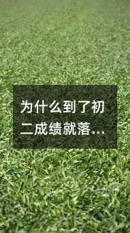 為什么到了初二成績就落下來了