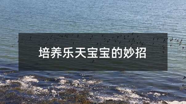 B쌚