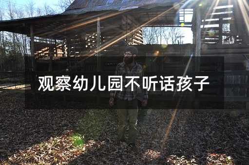 觀察幼兒園不聽(tīng)話孩子