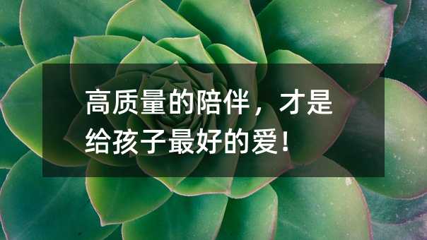 高質量的陪伴,才是給孩子最好的愛!
