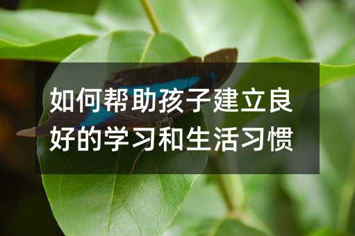 如何幫助孩子建立良好的學(xué)習(xí)和生活習(xí)慣