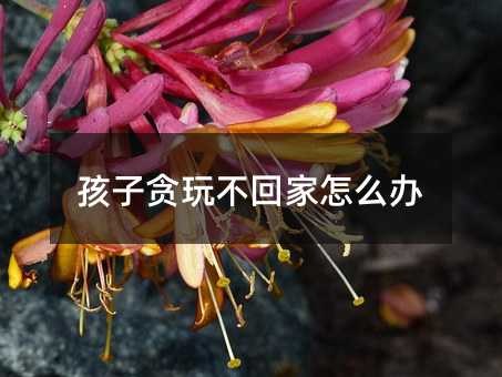 孩子貪玩不回家怎么辦