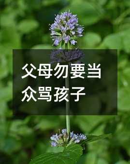 父母勿要當眾罵孩子