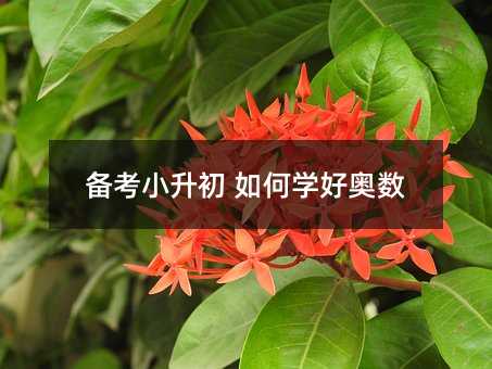 備考小升初 如何學好奧數