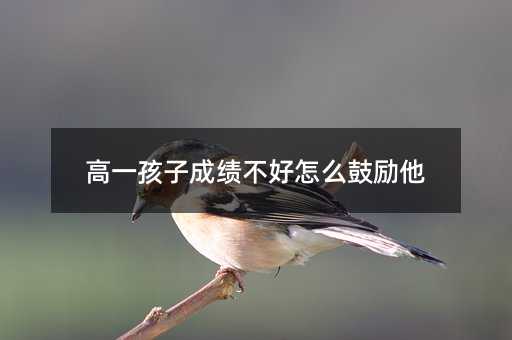 高一孩子成績不好怎么鼓勵他