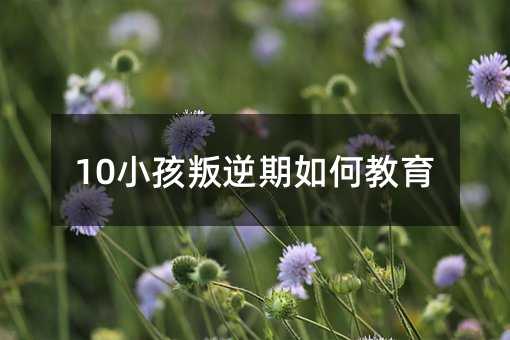 10小孩叛逆期如何教育