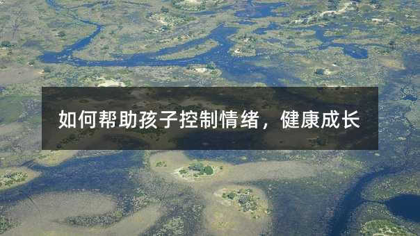 如何幫助孩子控制情緒,健康成長