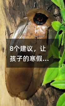 8個建議,讓孩子的寒假旅行更有意義