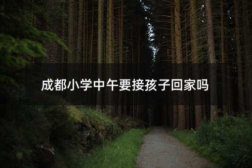 成都小學中午要接孩子回家嗎