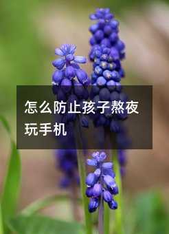 怎么防止孩子熬夜玩手機
