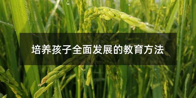 培養孩子全面發展的教育方法