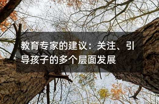 教育專家的建議:關(guān)注、引導孩子的多個層面發(fā)展