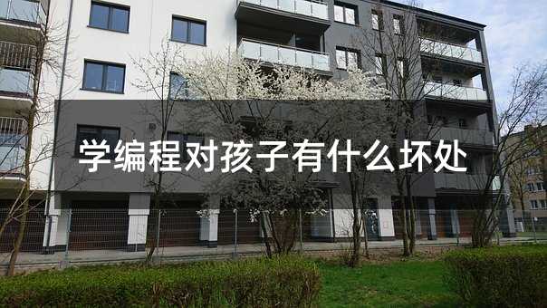 學(xué)編程對孩子有什么壞處