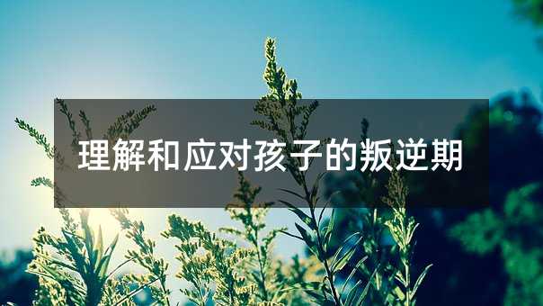 理解和應(yīng)對(duì)孩子的叛逆期