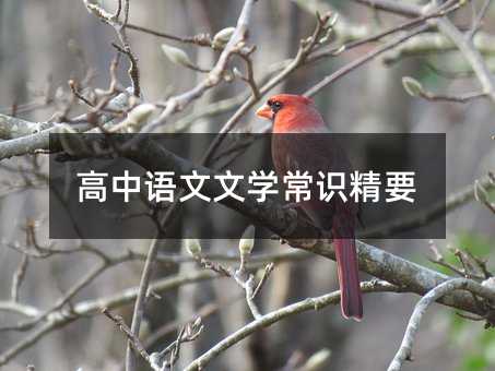 高中語(yǔ)文文學(xué)常識(shí)精要