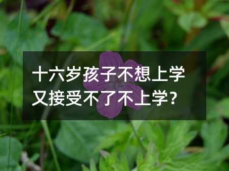 十六歲孩子不想上學又接受不了不上學?