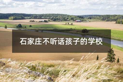 ʯf ԒӵČWУ