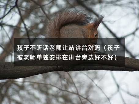 ���Ӳ� Ԓ�ώ�׌վ�v�_���ᣨ���ӱ��ώ��Ϊ��������v�_��߅�ò��ã�