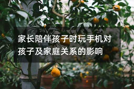 L麢ӕr֙CӼͥP(gun)ϵӰ