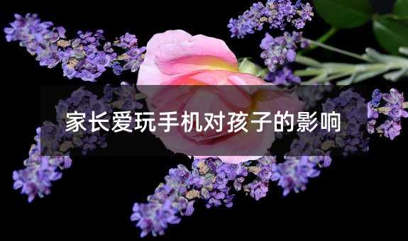 L֙CӵӰ