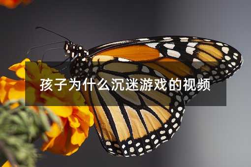 孩子為什么沉迷游戲的視頻