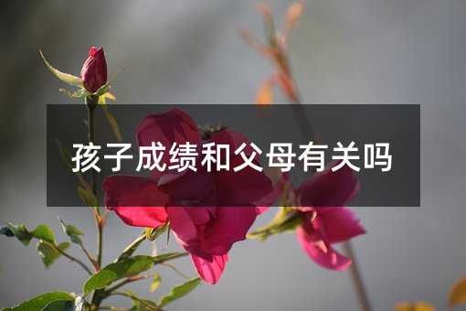 ӳɿ(j)͸ĸP(gun)