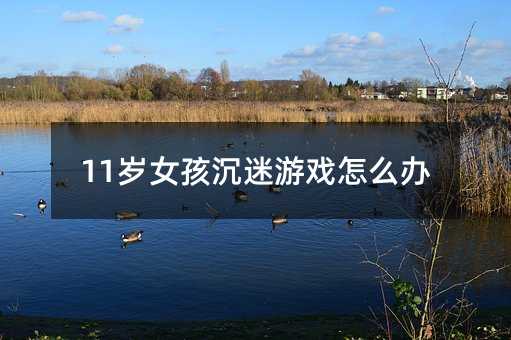 11歲女孩沉迷游戲怎么辦