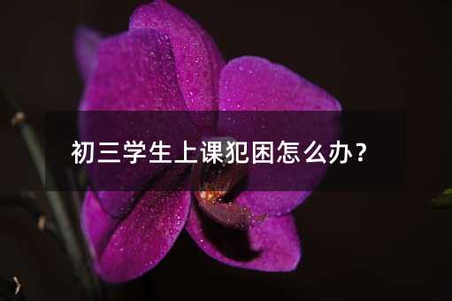 初三學生上課犯困怎么辦?