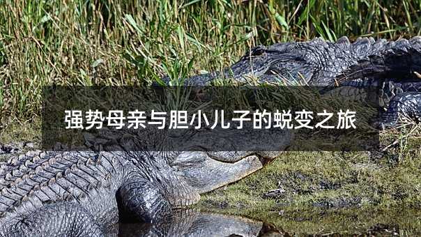 (qing)(sh)ĸHcđСӵ͑׃֮