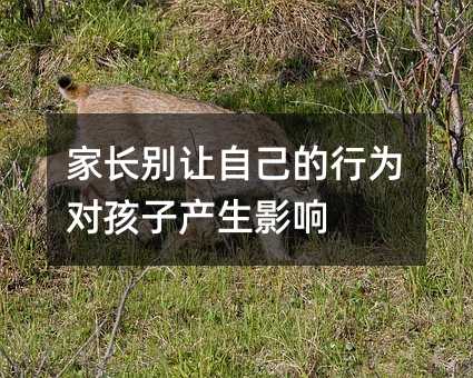 Le׌ԼО錦ӮaӰ