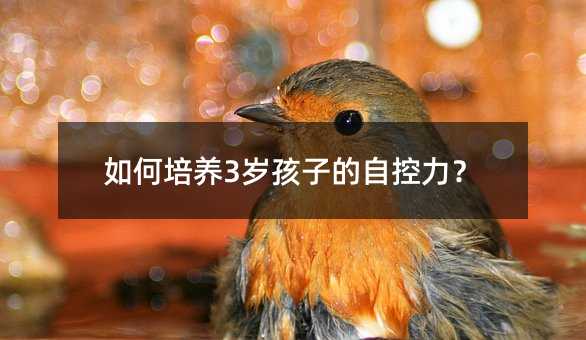 如何培養(yǎng)3歲孩子的自控力?