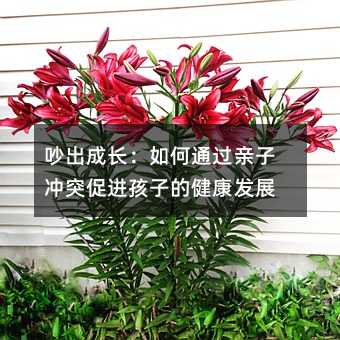 吵出成長:如何通過親子沖突促進孩子的健康發展
