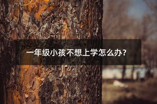 һ꼉СόWôk