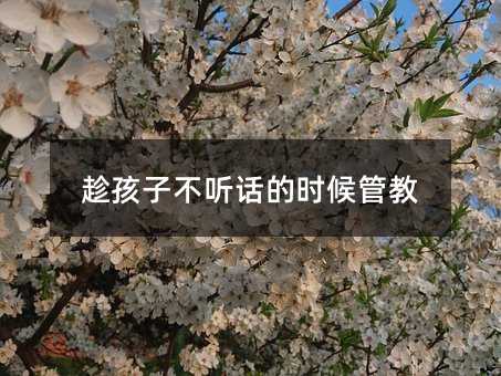 趁孩子不聽話的時候管教