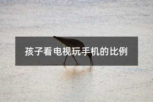 孩子看電視玩手機的比例
