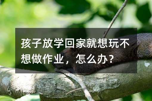 孩子放學回家就想玩不想做作業,怎么辦?