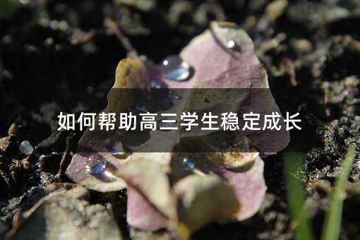如何幫助高三學(xué)生穩(wěn)定成長(zhǎng)