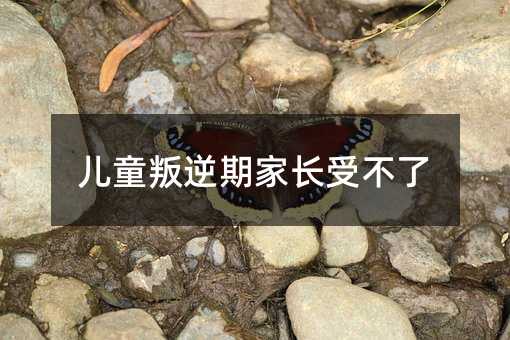 ͯڼLܲ