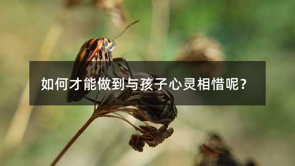 βc`ϧأ