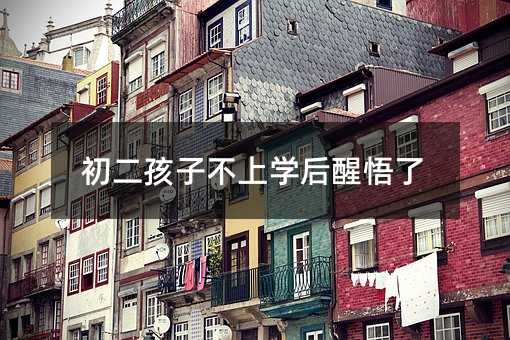 初二孩子不上學(xué)后醒悟了