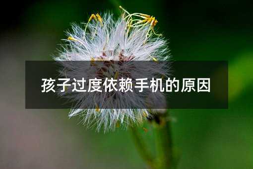 孩子過度依賴手機(jī)的原因