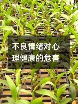 不良情緒對心理健康的危害