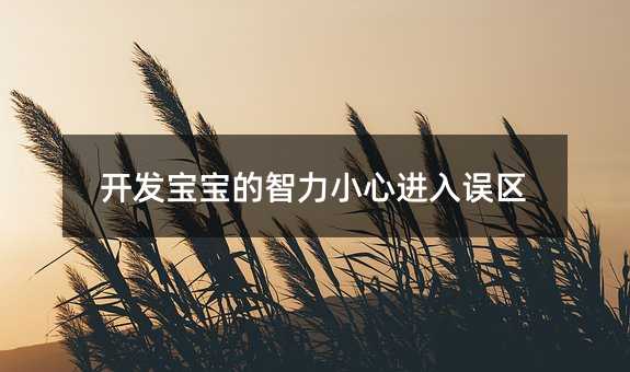 開發(fā)寶寶的智力小心進(jìn)入誤區(qū)